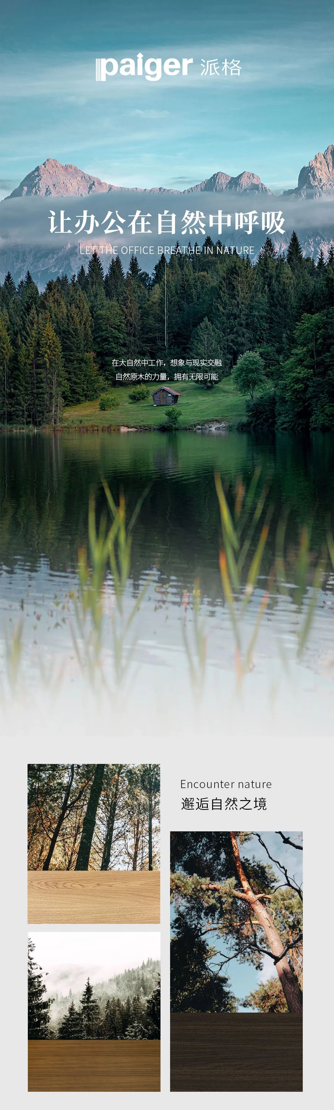 派格，讓辦公在自然中呼吸